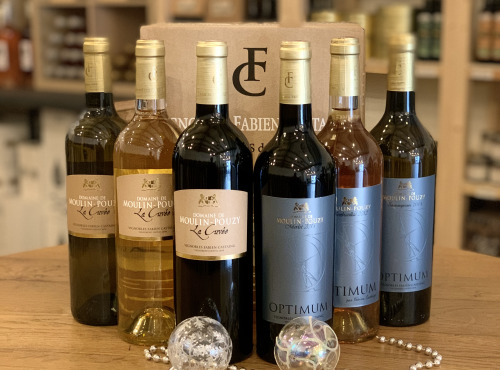 Vignobles Fabien Castaing - Coffret Cadeau Noel 6 bouteilles Grands Vin s