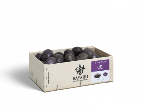 Maison Bayard - Pommes De Terre Blue Star - 3kg
