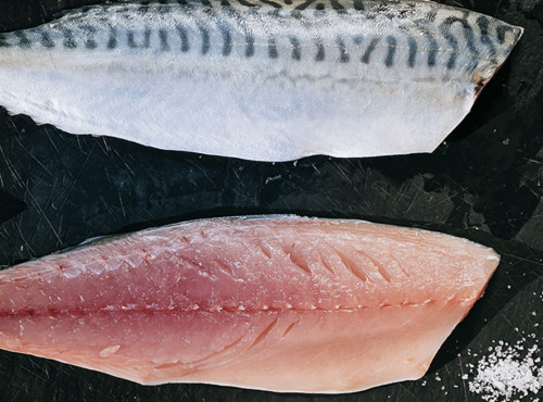 Côté Fish - Mon poisson direct pêcheurs - Filets De Maquereaux 300g