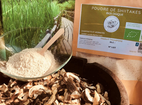 Champinette et Aromates - Poudre de shiitakés BIO : Un trésor nutritionnel