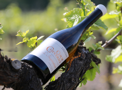 Domaine Daridan - Vin AOC Cour Cheverny Blanc 2020 "L'Inspiration" - 6x75cl