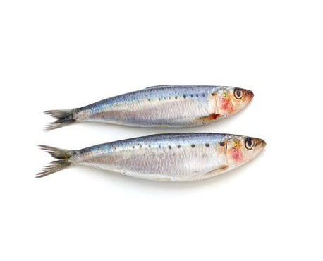 Ma poissonnière - Sardine atlantique entière lot de 2 kg (sardina pilchardus)