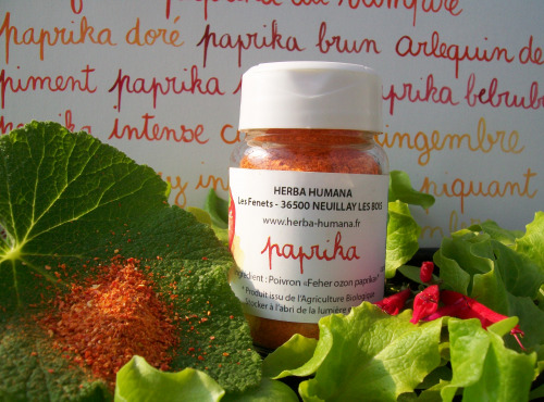 HERBA HUMANA - Paprika Bio Cultivé en France