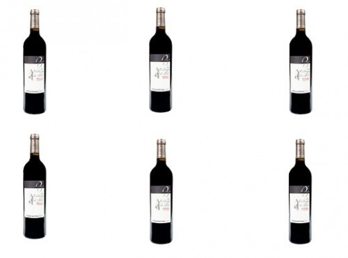 Domaine de Bilé - IGP Vin Côtes de Gascogne Rouge Vendanges Mains - 6 Bouteilles de 75 cl