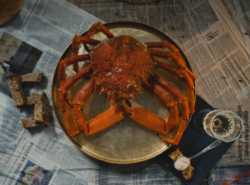 Thalassa Tradition - Araignée de Mer Cuite Normandie - 1 kg