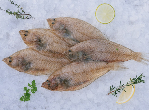 Côté Fish - Mon poisson direct pêcheurs - Limandes 500g