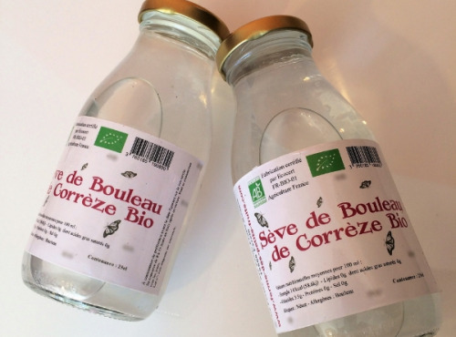 La Ferme des petits fruits - Sève de Bouleau BIO : Offre découverte  (4 bouteilles de 25 cl)