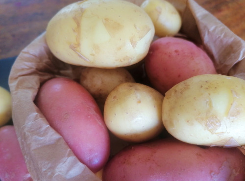 Ferme de Carcouet - Pommes de Terre Bio - 500 g