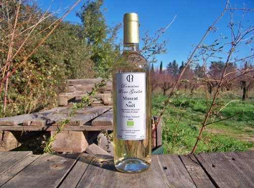Domaine Pons Gralet - Vin Blanc - AOP Muscat de Rivesaltes Bio