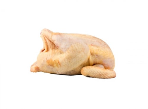 Ferme de Vertessec - Poulette dorée de Vertessec - 1,8kg