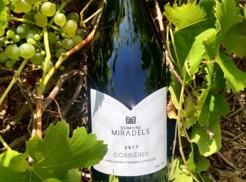 Domaine Miradels - AOC Corbières - Tradition Domaine Miradels 2017 - 3 bouteilles