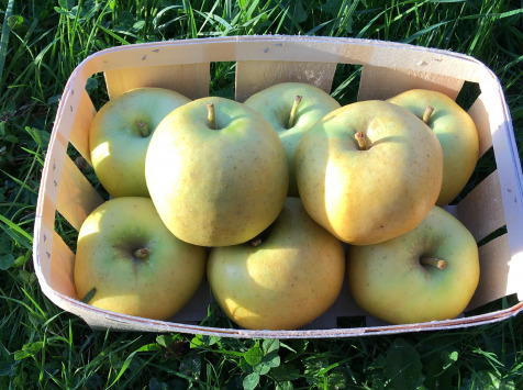 EARL Fruits du Maumont - Toutifruits - Pomme Chantecler HVE - 5kg
