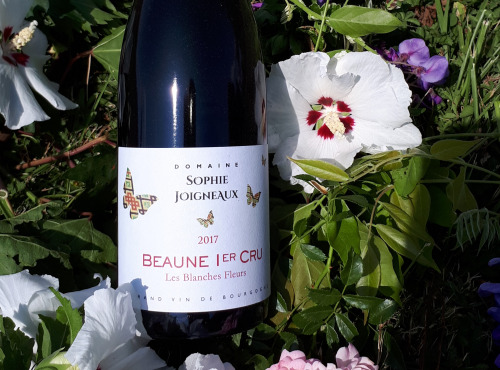 Domaine Sophie Joigneaux - AOP Beaune 1er Cru "les Blanches Fleurs" 75 Cl Millésime 2019