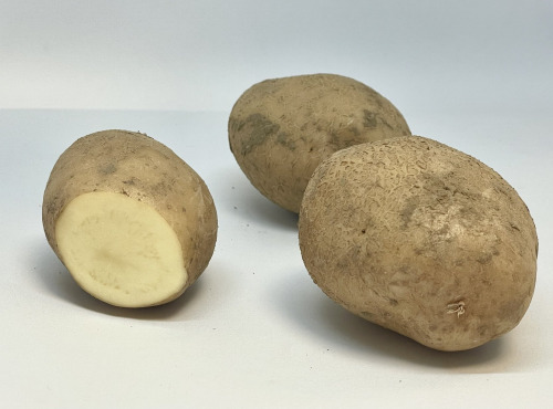Maison Bayard - Pommes de terre Bintje - 12.5kg