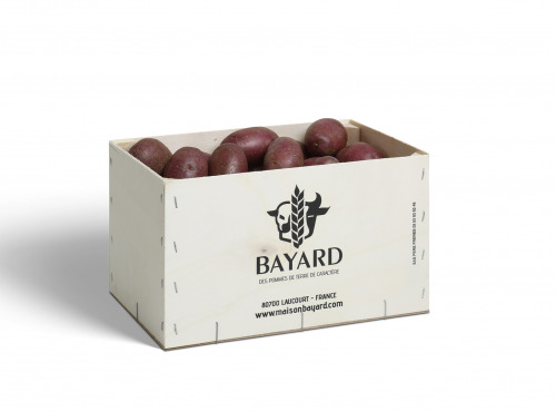 Maison Bayard - Pommes De Terre Mulberry Beauty - 5kg