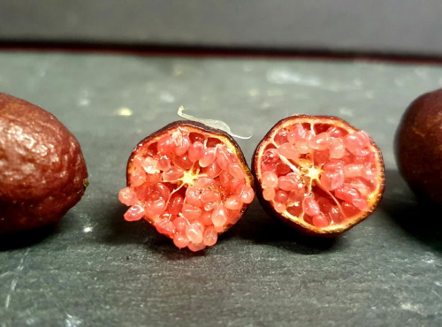 Citron Caviar (microcitrus Australasica) à Pulpe Rouge