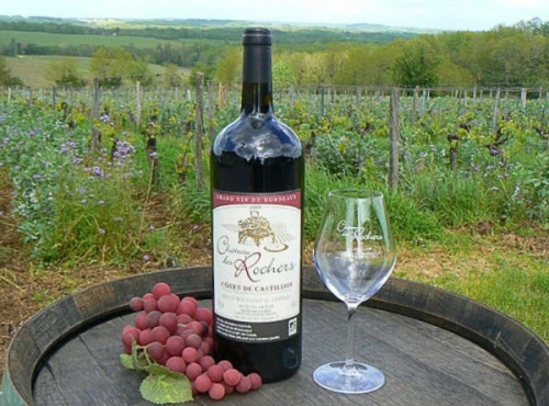 Château des Rochers - Magnum de vin rouge AOC 2003 x3