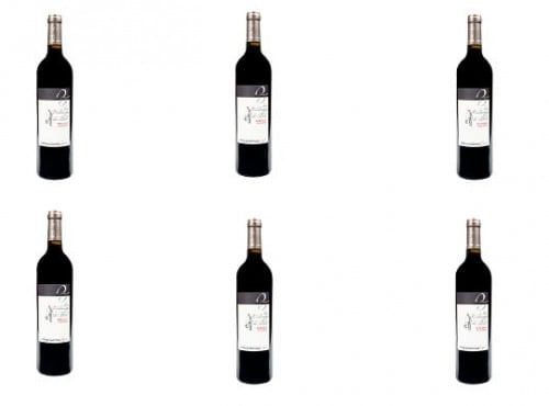 Domaine de Bilé - IGP Vin Côtes de Gascogne Rouge Vendanges Mains - 6 Bouteilles de 37,5 cl
