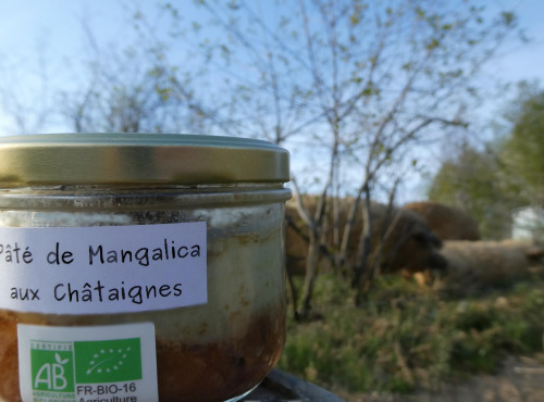 Terres EnVie - Pâté aux Châtaignes Bio de Mangalica - 90g