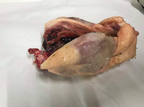 Des Poules et des Vignes à Bourgueil - 2 Cuisses d’Oie sur Carcasse