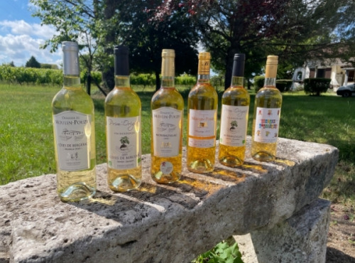 Vignobles Fabien Castaing - Lot Blancs Sucrés et Jus de Raisin