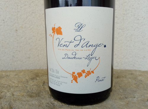 Domaine Doudeau-Leger - Vent d'Ange - Vin de Pays du Val de Loire Rouge IGP 2022 - 3 Bouteilles