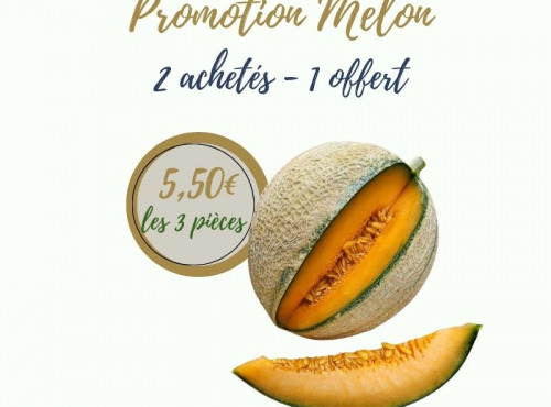 La Ferme d'Arnaud - Promotion Melon - 2 achetés, 1 kgs offert