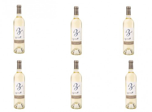 Domaine de Bilé - IGP Vin Côtes de Gascogne Blanc Demi Sec - 6 Bouteilles