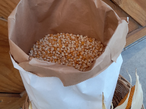 Grain Pop - Maïs popcorn nature vrac - 15kg