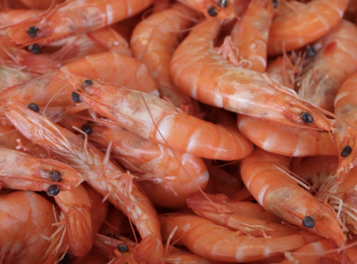 La Paysanne des Mers - Crevettes cuites bio - 1kg