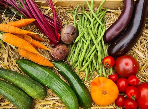 La Ferme de Goas Per - Panier de légumes de saison Bio