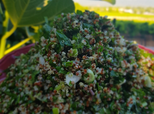 Graines Précieuses - Le Savoureux Taboulé Maison Quinoa Bio Et Ses Herbes Fraîches