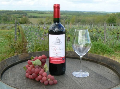 Château des Rochers - Vin rouge AOC Castillon-Côtes de Bordeaux 2016