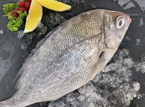 Notre poisson - Dorade Grise écaillé vidé 500/1kg en lot de 1kg