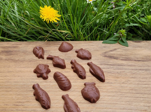 Basile et Téa - Fritures en chocolat au Lait 39% de Pâques 150g