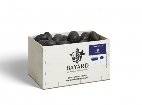 Maison Bayard - Pommes De Terre Prunelle - 5kg