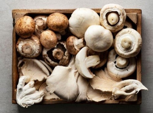 La Carrière du Bienheureux - Coffret champignons Pleurote et Shiitaké - 2x1kg