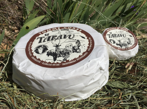 Depuis des Lustres - Comptoir Corse - Tomme de brebis corse "U Taravu" - 250 g