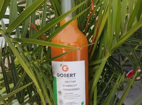 Gobert, l'abricot de 4 générations - Nectar d'abricot, variété Orangered - 1 litre