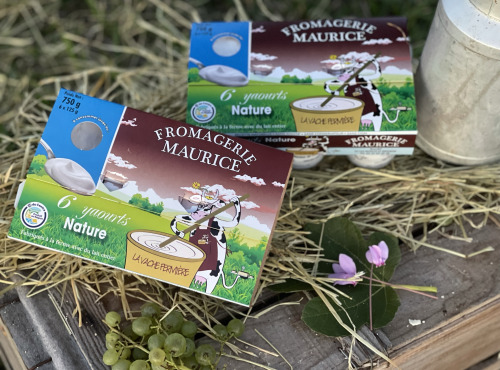 Fromagerie Maurice - Yaourt Nature x12