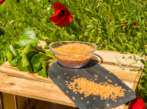 Sa Majesté la Graine - Mélange Quinoa/lentilles Corail BIO origine France - 500g
