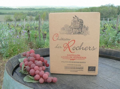 Château des Rochers - Bib fontaine de vin rouge AOC Castillon-Côtes de Bordeaux - 3L