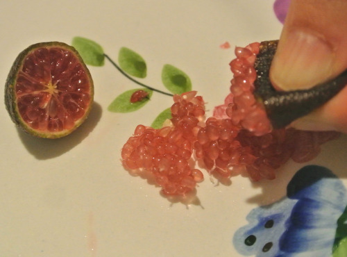 Le Jardin des Antipodes - Citron Caviar Aux Perles Rouge 250g