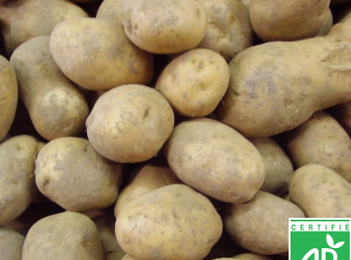 Le Châtaignier - Pommes De Terre Ditta Bio - 10 Kg