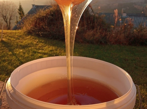 La Truite du Mézenc - Miel cremeux de fleurs - 5kg