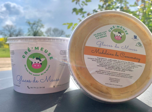 Glaces de Meuse - Crème Glacée Madeleine de Commercy 360 grx 5