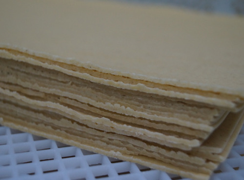 Lioravi, l'authentique pâte fraîche ! - 10 X Sachet de 370G de Feuilles De Lasagne (6 Feuilles) Biologique Ultra Frais