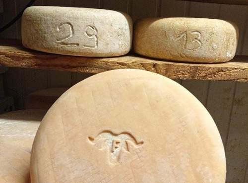 La ferme Lassalle - Fromage de Brebis AOP Ossau-Iraty Fermier de Printemps Demi-boule - 2,4kg - 8 mois