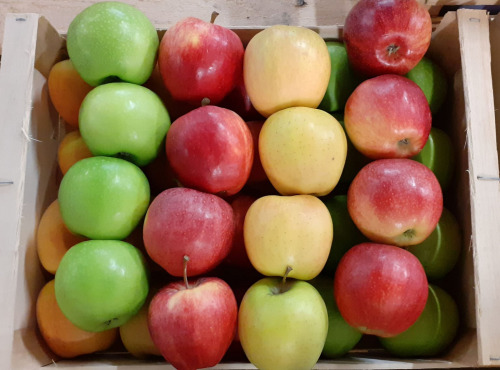 Le Châtaignier - Pommes De Variétés Incontournables -  Assortiment 6kg