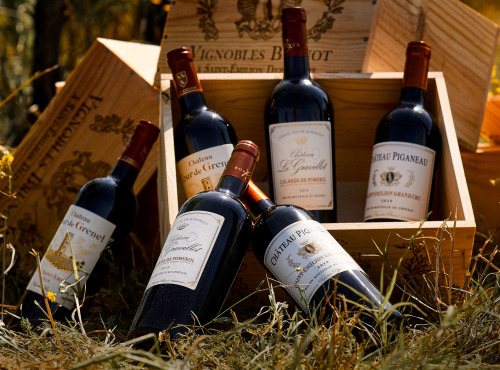 Vignobles Brunot - Coffret Bois "Vins Premium de Bordeaux" dont Saint-Emilion Grand Cru - 6x75cl